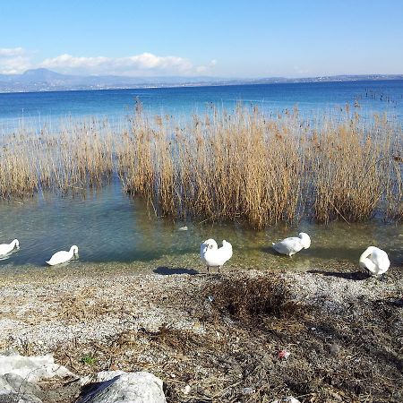 Debora Maison B&B Colombare Di Sirmione Kültér fotó