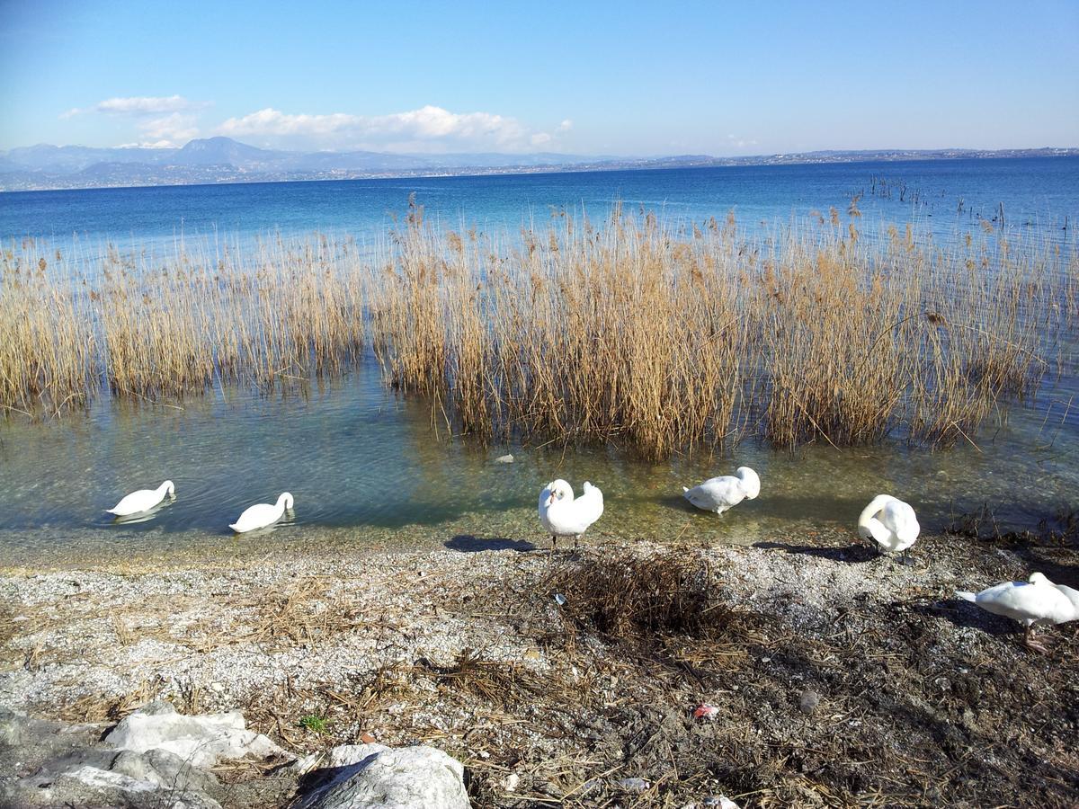 Debora Maison B&B Colombare Di Sirmione Kültér fotó